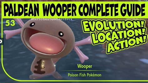 paldean wooper evolution|Clodsire Pokédex: stats, moves, evolution & locations